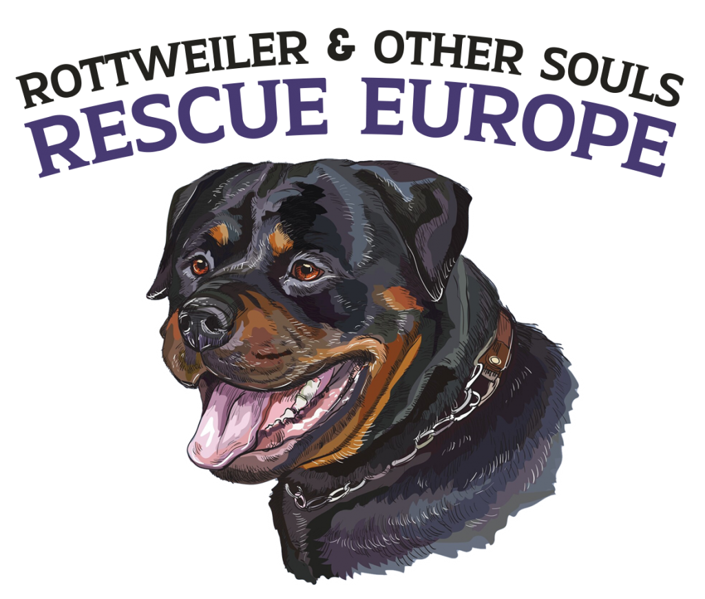 Rottweiler-Clothing-Design-1024x870